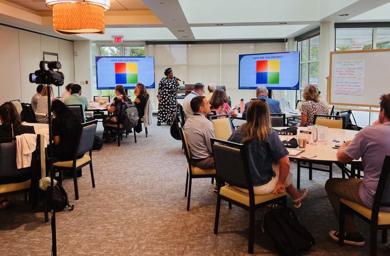 53876155994_332f6546dc_k